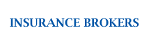 insurance b1