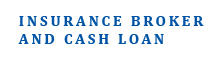 insurance b1